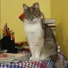 Отзыв от Евгения Шарова